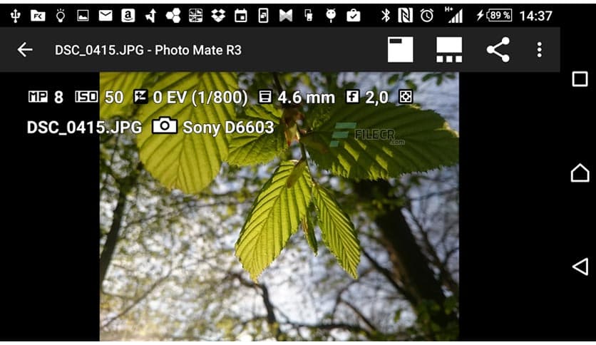 https://media.imgcdn.org/repo/2023/03/photo-mate-r3/photo-mate-r3-free-download-02.jpg