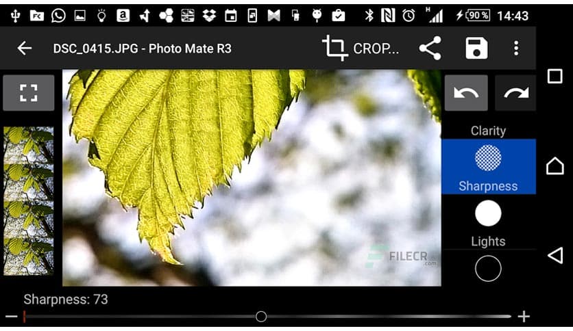 https://media.imgcdn.org/repo/2023/03/photo-mate-r3/photo-mate-r3-free-download-04.jpg